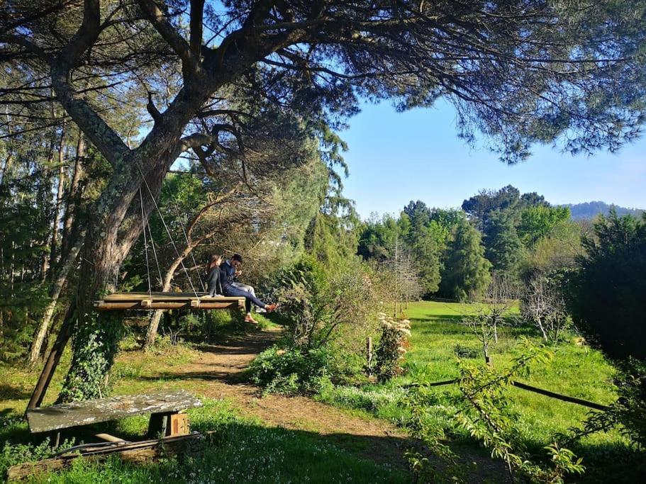 Pine Lodge - Direct Train To Porto Valongo  Exterior photo